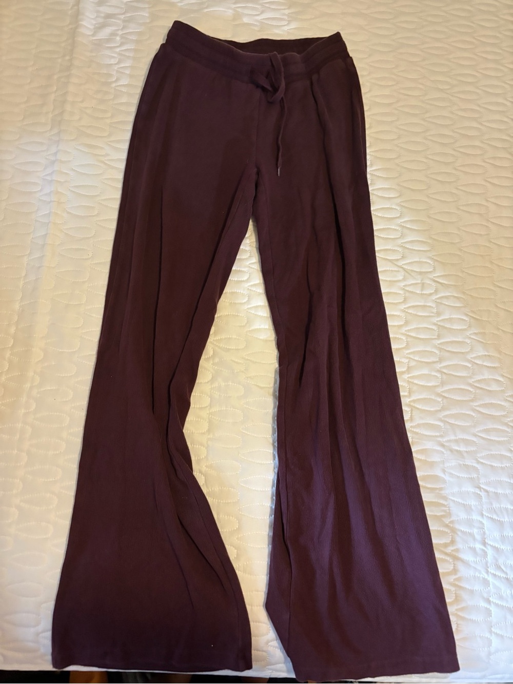 Aritzia Wide-Leg Drawstring Pants in Plum